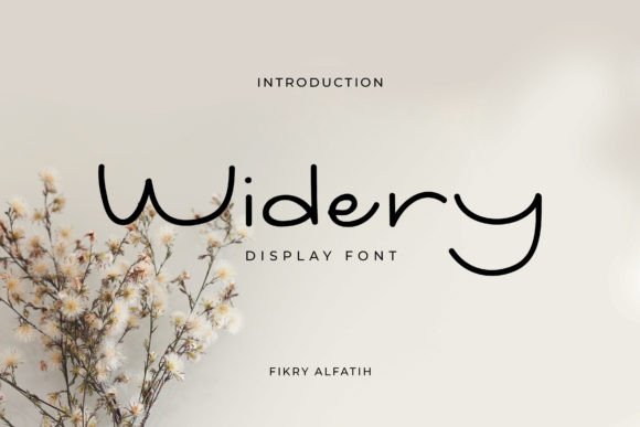 Widery: A Premium Display Font for Bold Campaigns